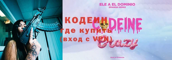 стаф Кодинск