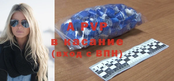 стаф Кодинск