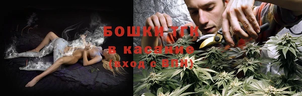 стаф Кодинск