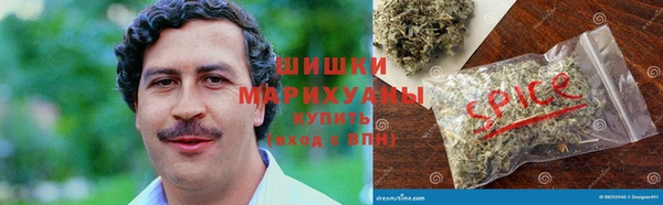 стаф Кодинск